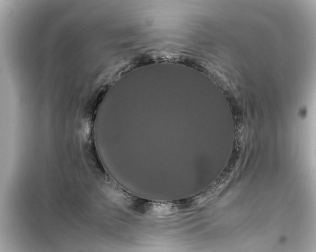 X0000099490709200805221338