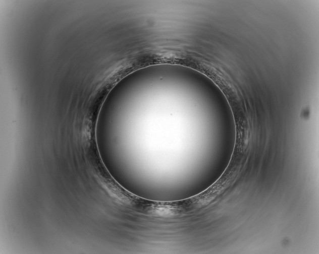 X0000099490710200805221338