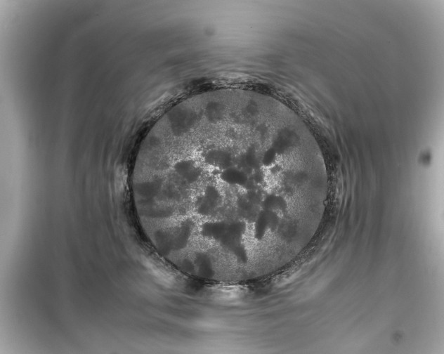 X0000099490711200805221338