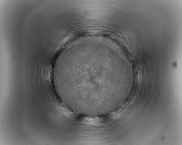 X0000099490712200805221338