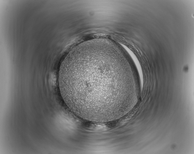 X0000099490715200805221338