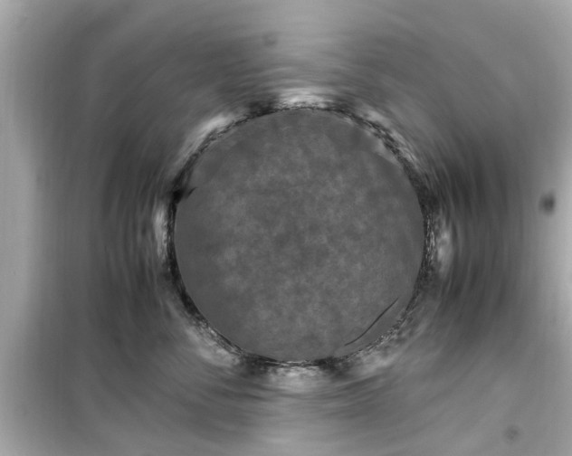 X0000099490716200805221338