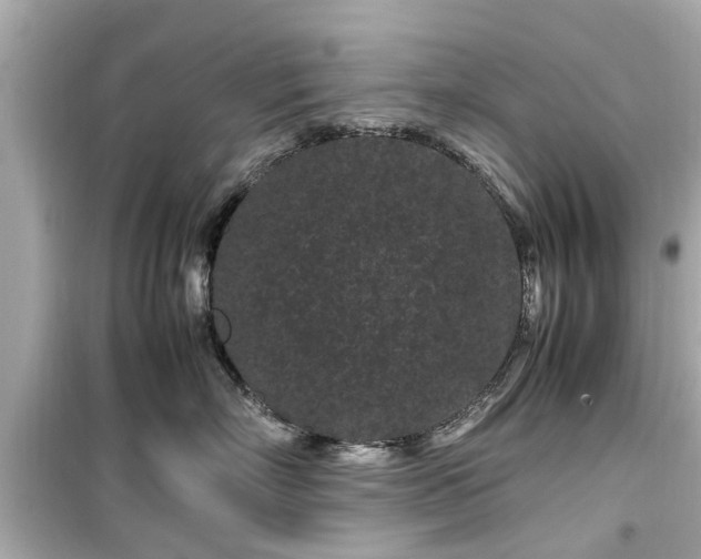 X0000099490718200805221338