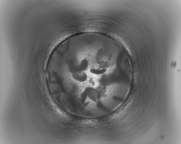 X0000099490721200805221337