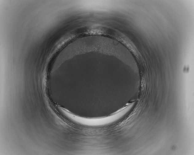 X0000099490722200805221337