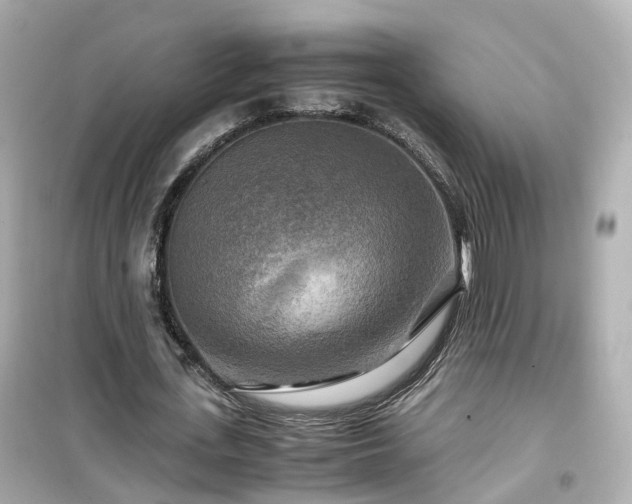 X0000099490723200805221337
