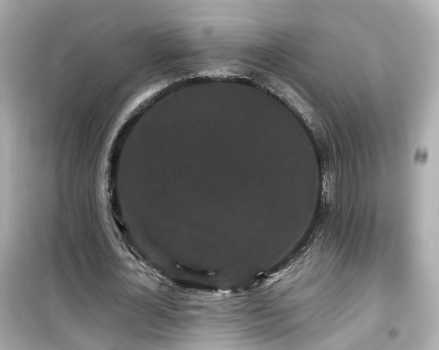 X0000099490724200805221337