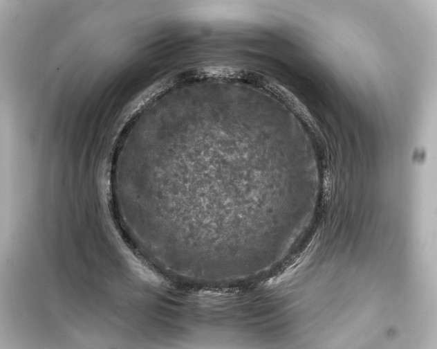 X0000099490725200805221337