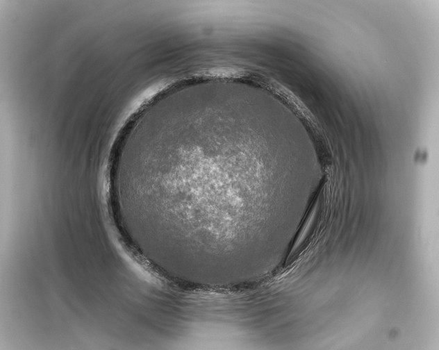 X0000099490726200805221337