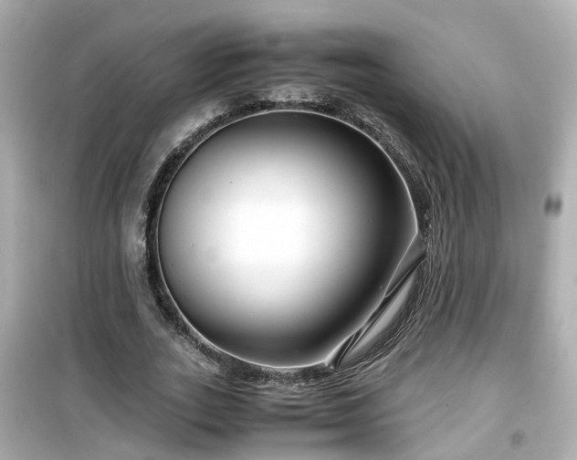 X0000099490727200805221337