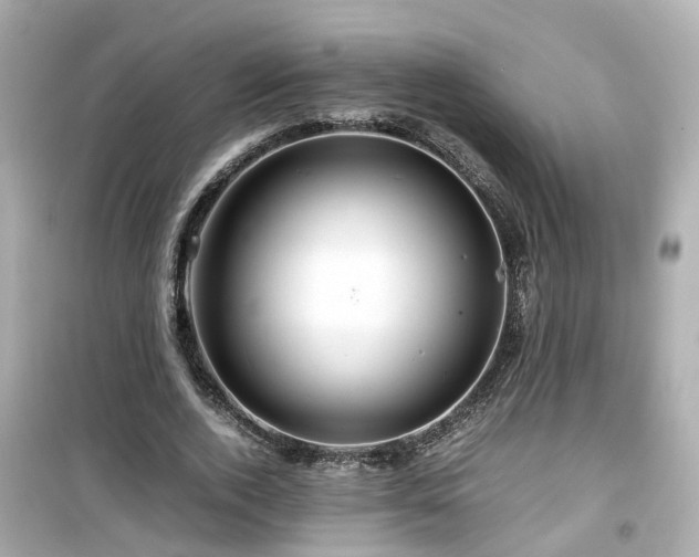 X0000099490728200805221337