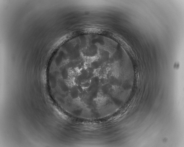 X0000099490729200805221337