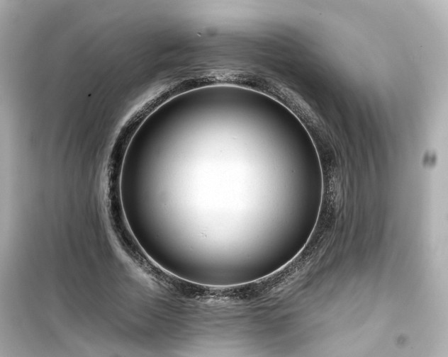 X0000099490730200805221337