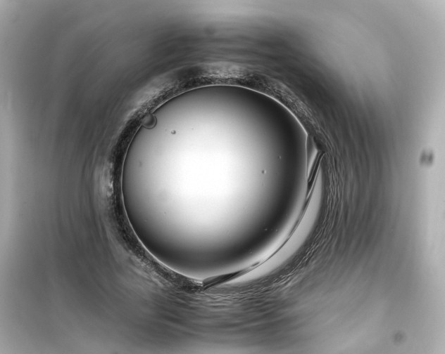 X0000099490731200805221337