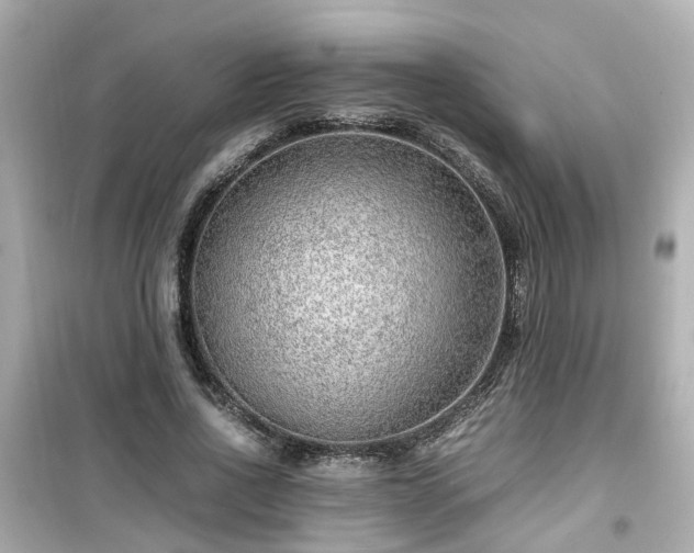 X0000099490734200805221337