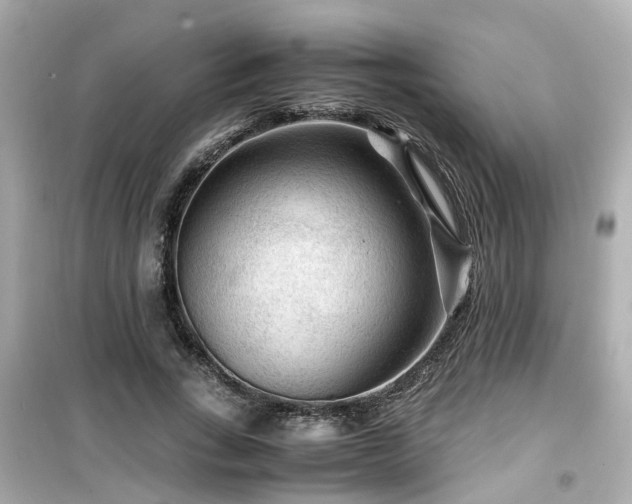 X0000099490735200805221337