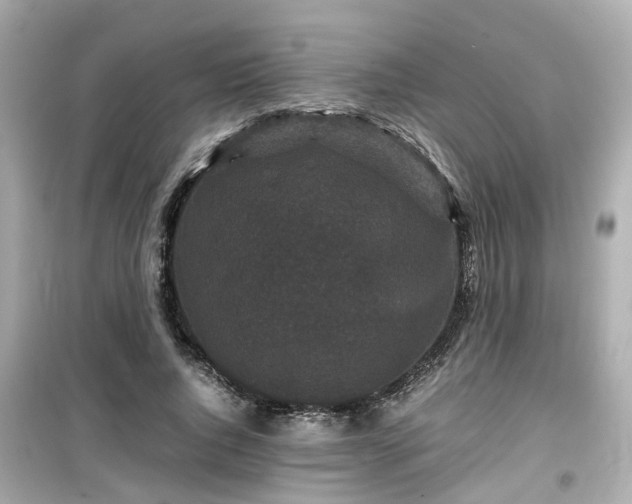 X0000099490736200805221337