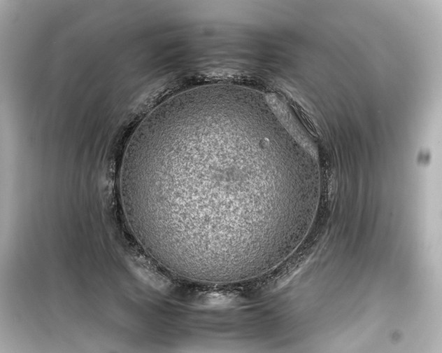 X0000099490737200805221337