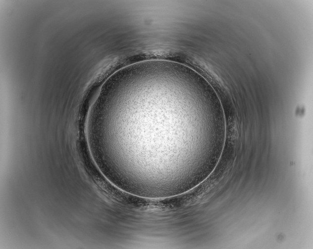 X0000099490738200805221337