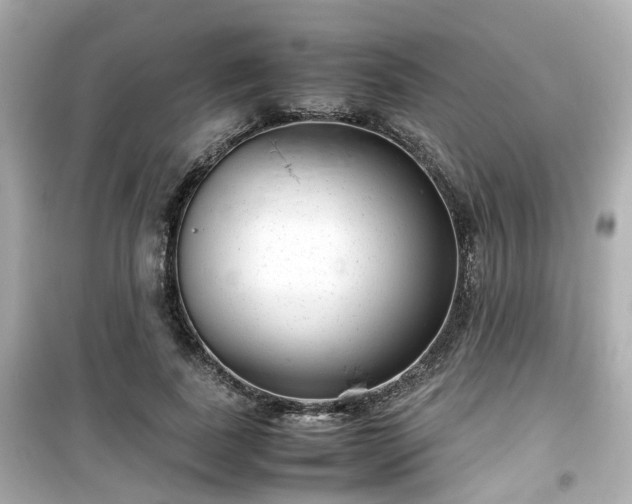 X0000099490739200805221337
