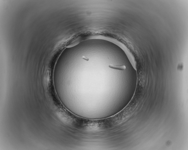 X0000099490740200805221337