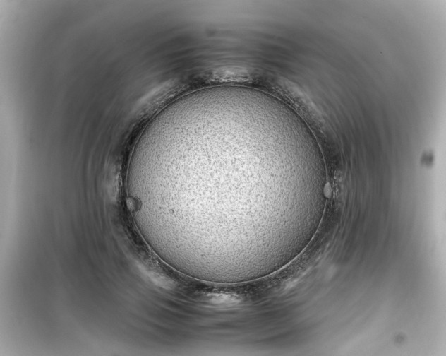 X0000099490741200805221337
