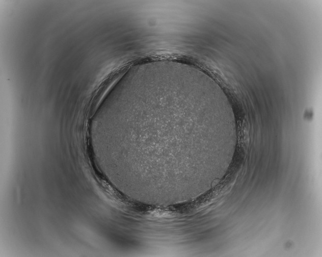 X0000099490742200805221337