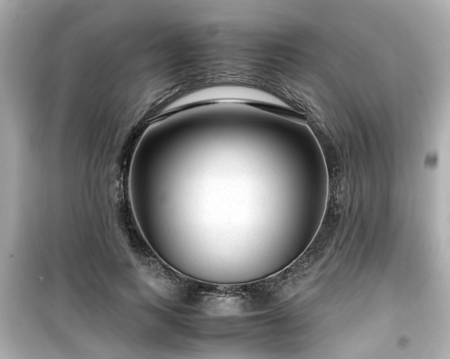 X0000099490743200805221337