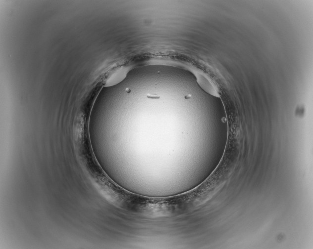 X0000099490744200805221337