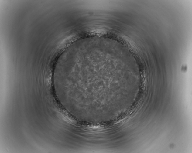 X0000099490745200805221337