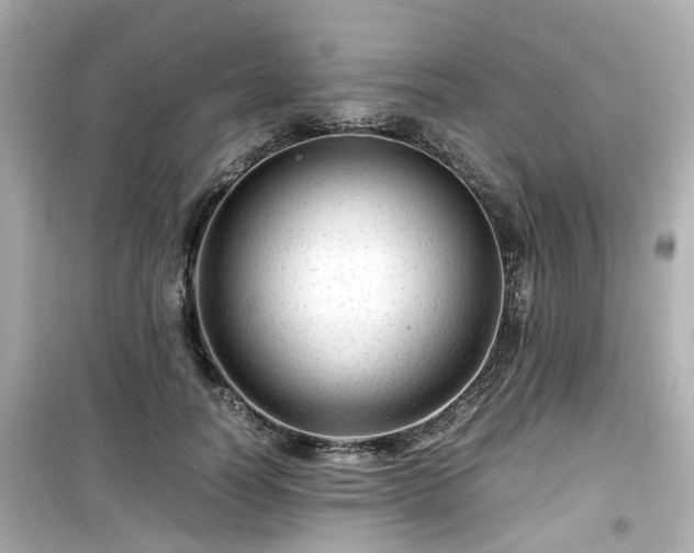 X0000099490746200805221337