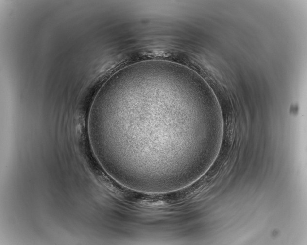 X0000099490747200805221337