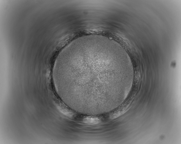 X0000099490749200805221337