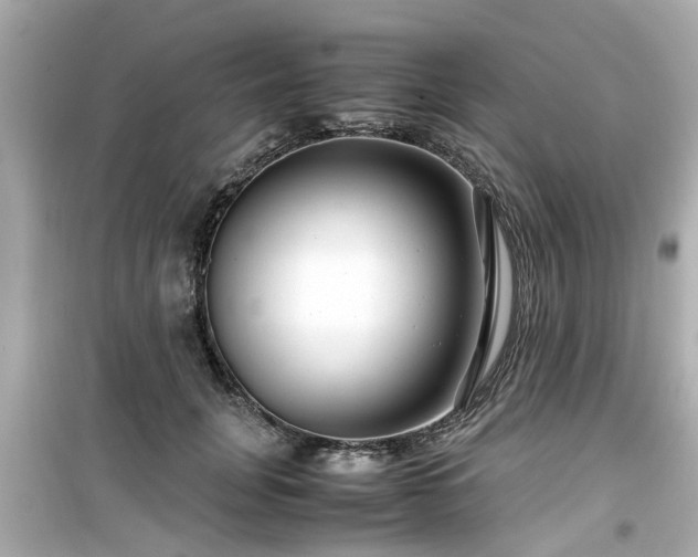 X0000099490751200805221337