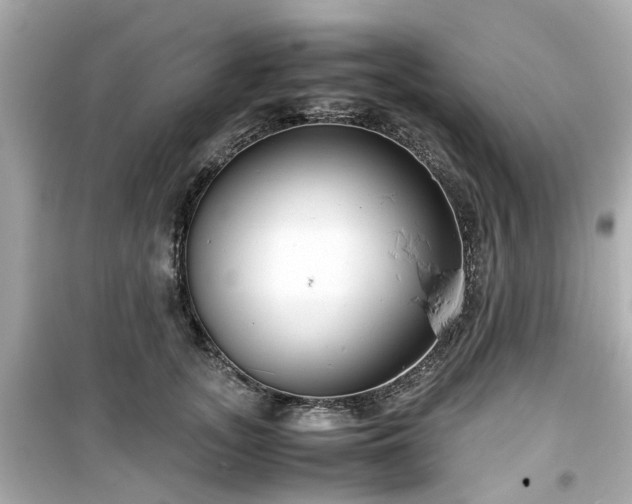 X0000099490755200805221337