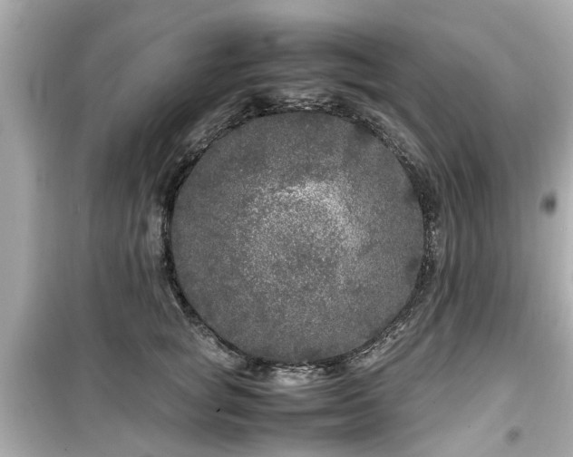 X0000099490757200805221337