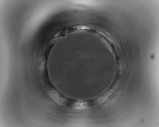 X0000099490760200805221338