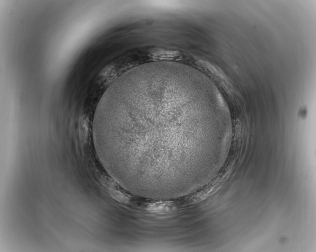 X0000099490761200805221338