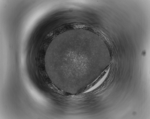 X0000099490763200805221338