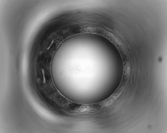 X0000099490764200805221338