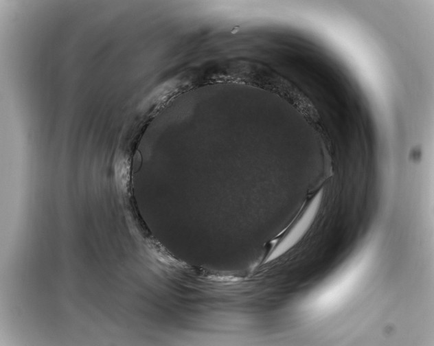 X0000099490767200805221338