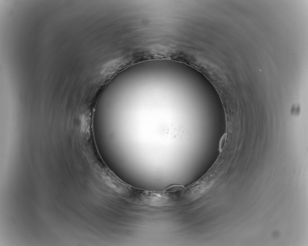 X0000099490768200805221338