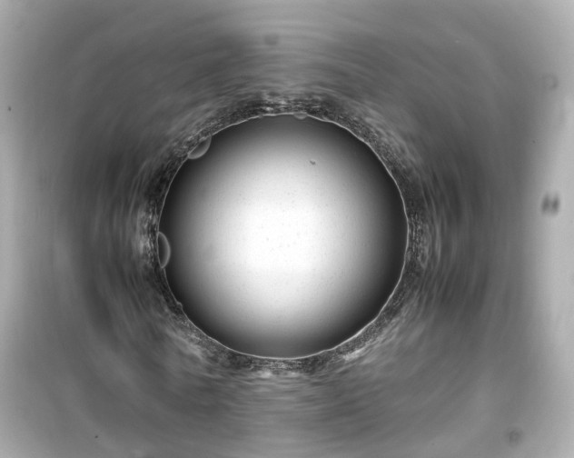X0000099490770200805221337