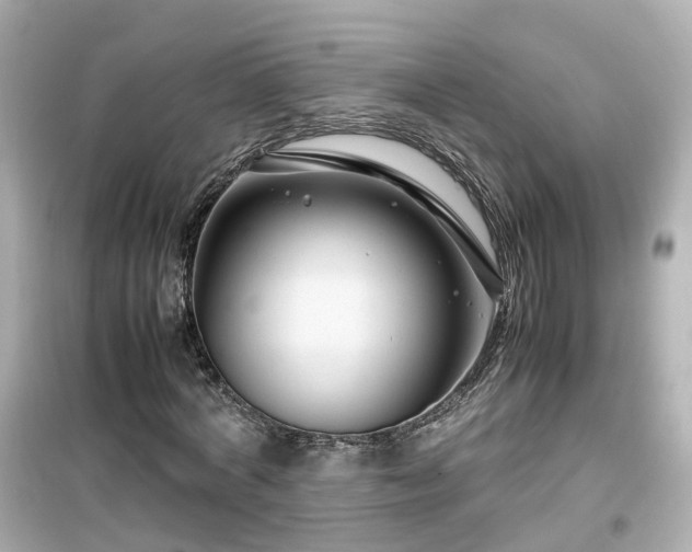 X0000099490772200805221337