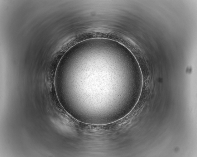 X0000099490774200805221337