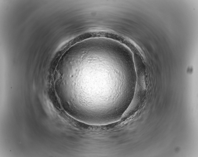 X0000099490775200805221337