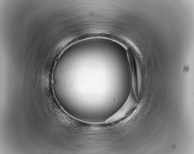 X0000099490777200805221337
