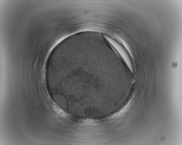 X0000099490779200805221337