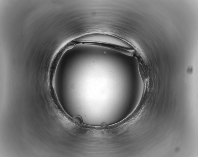 X0000099490780200805221337