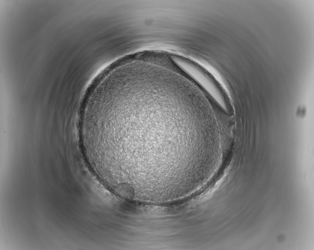 X0000099490783200805221337